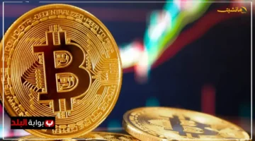 تحذير عاجل.. خبراء يكشفون مصير بيتكوين في أكتوبر وسط تقلبات غير مسبوقة 1